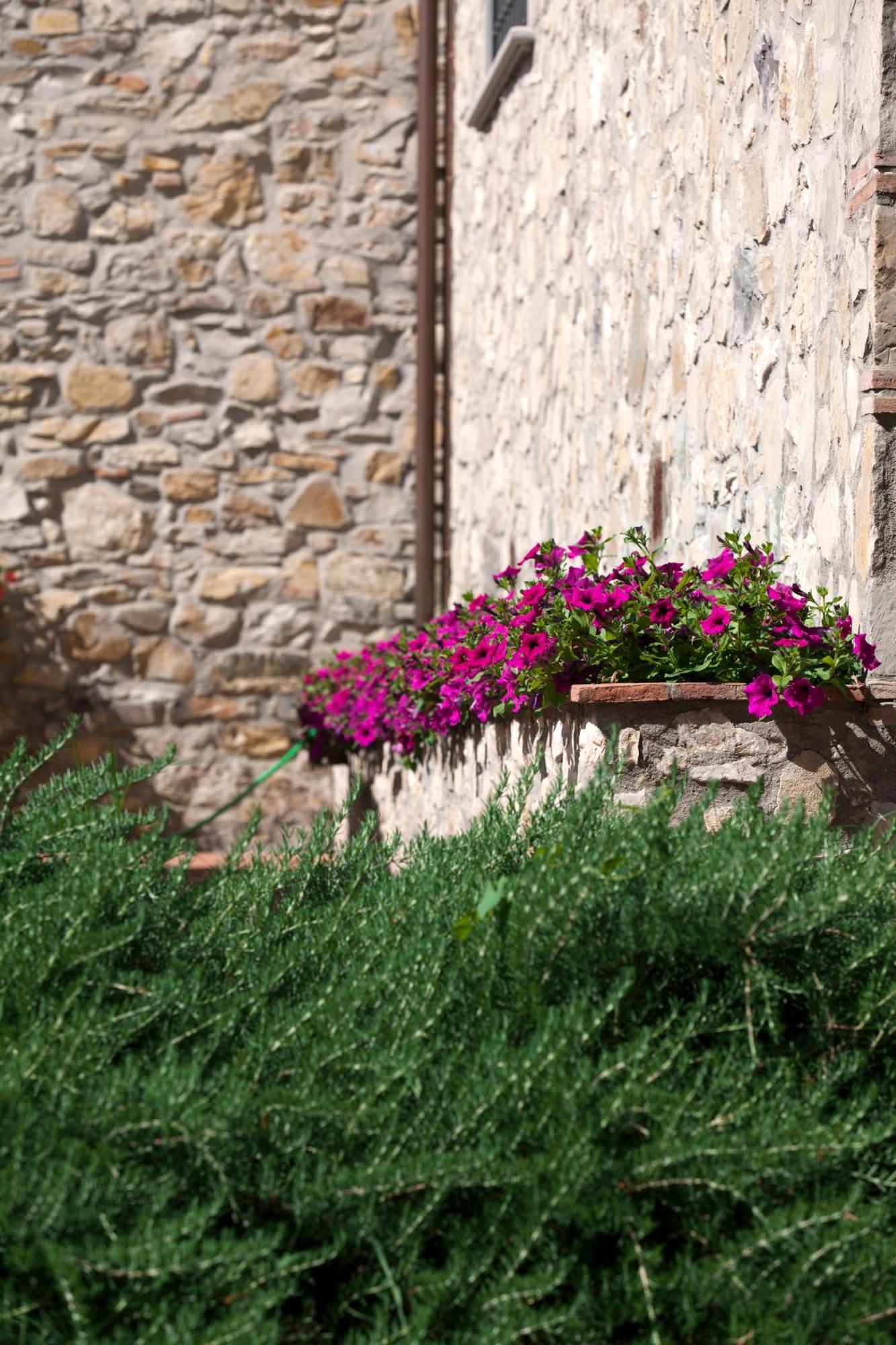Agriturismo La Casa Di Rodo Quarrata Luaran gambar